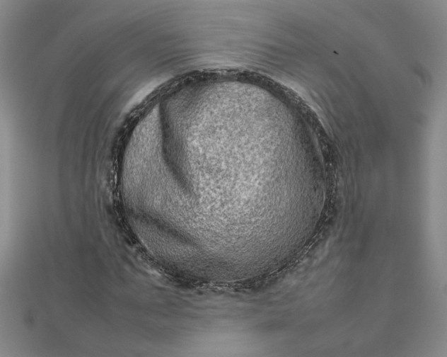 X0000111900871200908101138