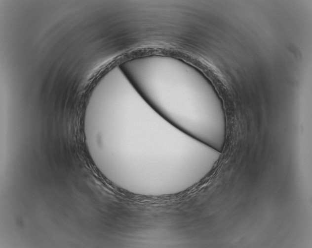 X0000111900872200908101138