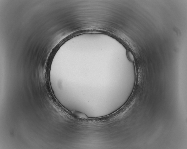 X0000111900876200908101138