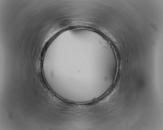 X0000111900877200908101138