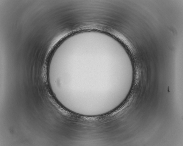 X0000111900878200908101138