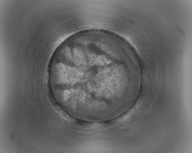 X0000111900879200908101138