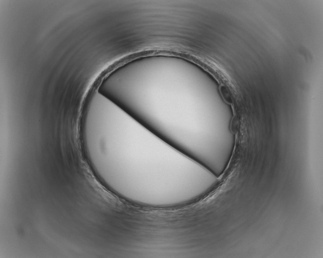 X0000111900880200908101138