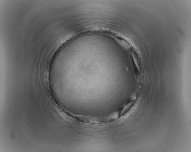 X0000111900881200908101138