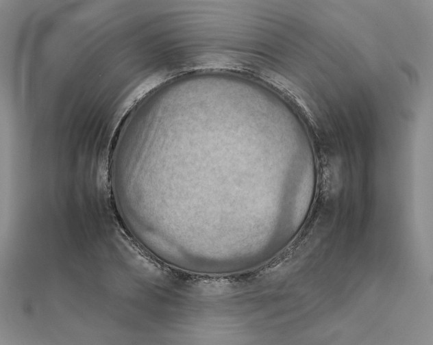 X0000111900882200908101138