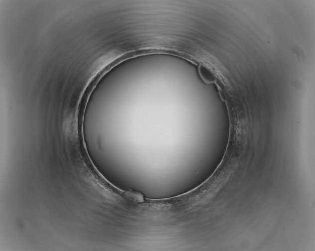 X0000111900884200908101138