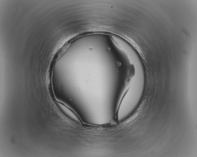 X0000111900885200908101138