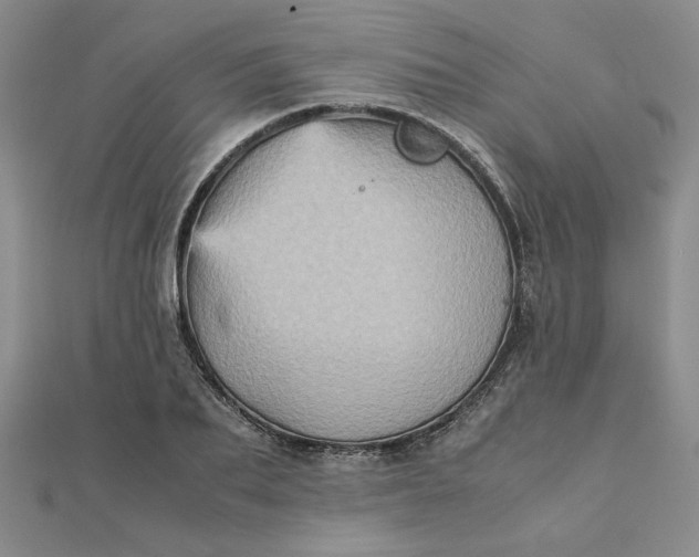 X0000111900887200908101138