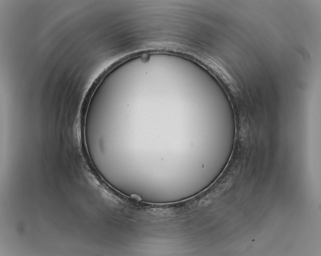 X0000111900888200908101138