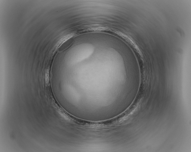 X0000111900889200908101138