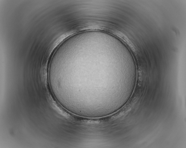 X0000111900890200908101138