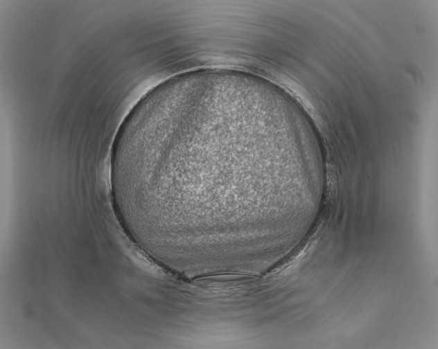 X0000111900891200908101138