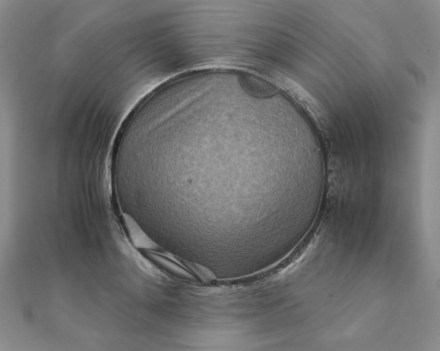 X0000111900892200908101138