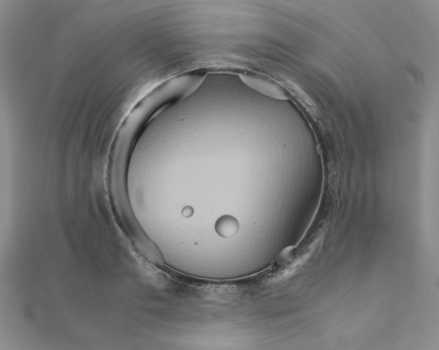 X0000111900893200908101138