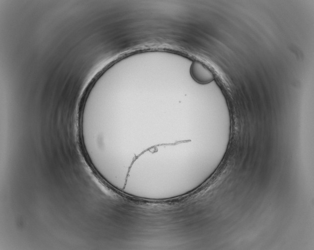 X0000111900894200908101138