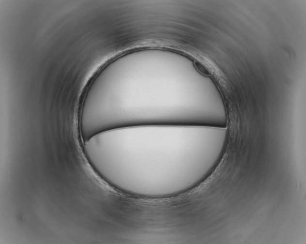 X0000111900896200908101138