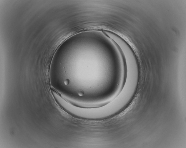 X0000111900897200908101138