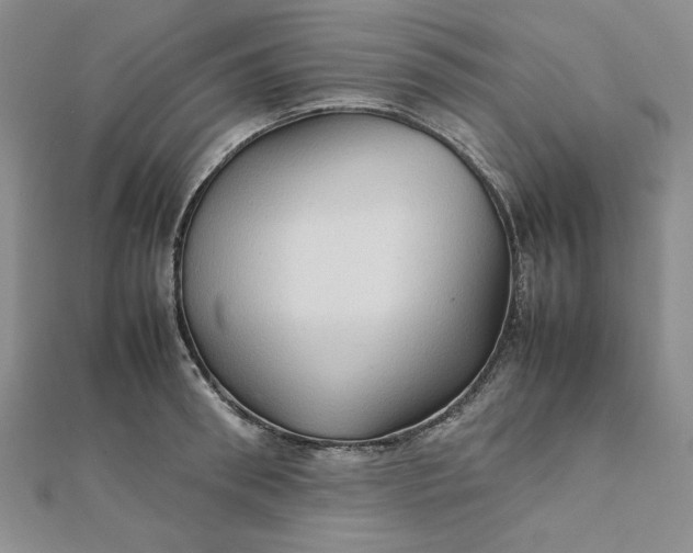 X0000111900898200908101138