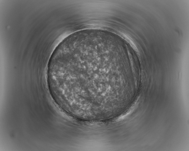 X0000111900899200908101138