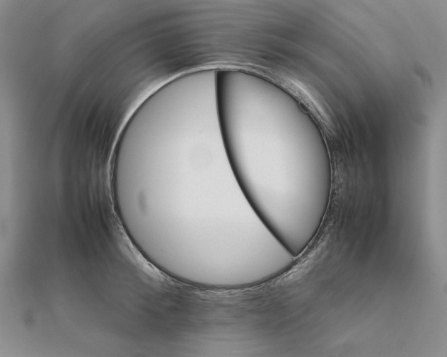 X0000111900900200908101138