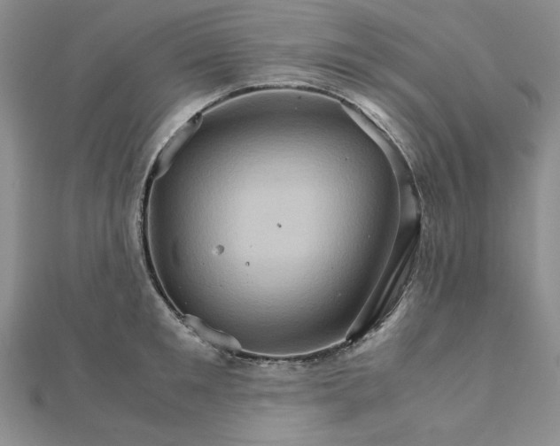 X0000111900901200908101138