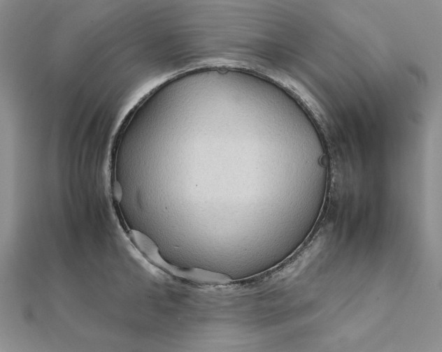 X0000111900902200908101138