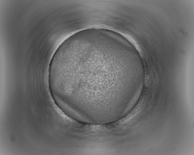 X0000111900903200908101138