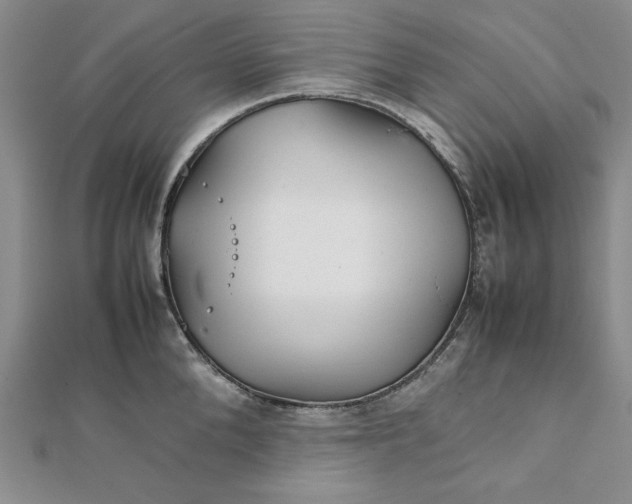 X0000111900904200908101138