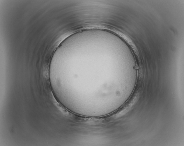 X0000111900905200908101138