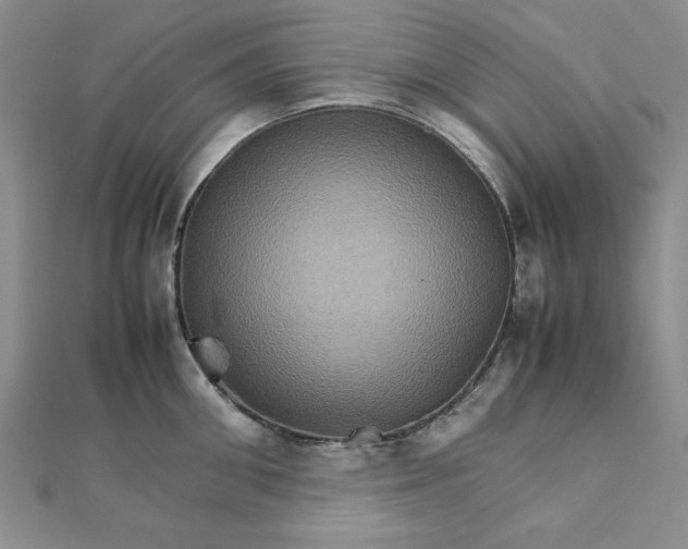 X0000111900906200908101138