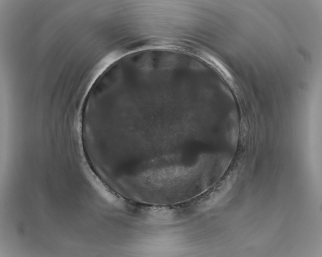 X0000111900907200908101138