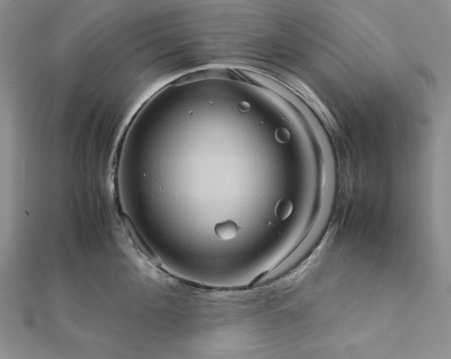 X0000111900908200908101138