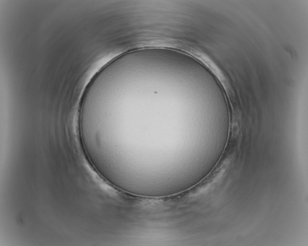 X0000111900909200908101138