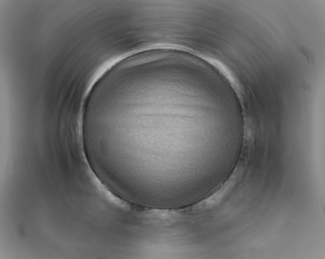 X0000111900910200908101138