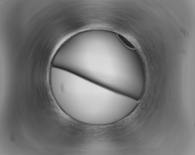 X0000111900912200908101137