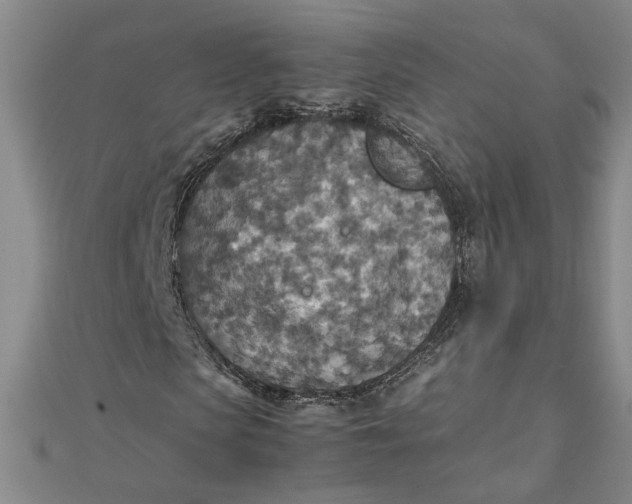 X0000111900913200908101137