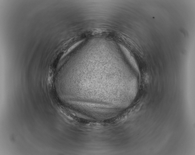 X0000111900914200908101137