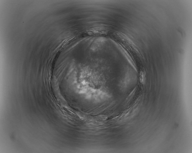 X0000111900915200908101137