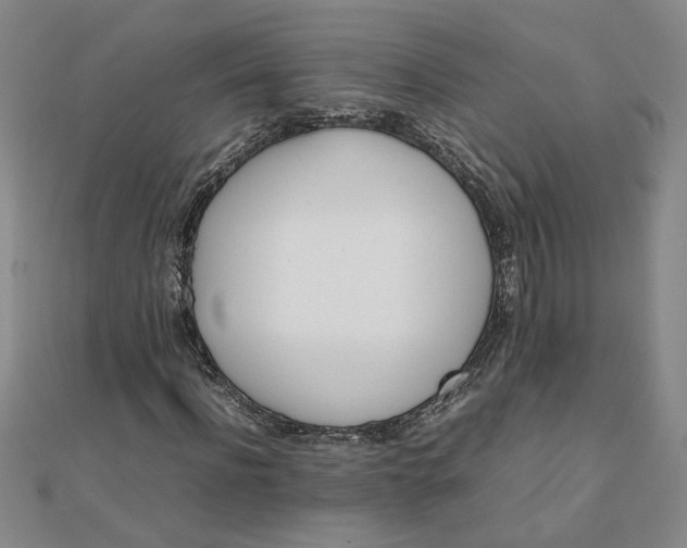 X0000111900916200908101137