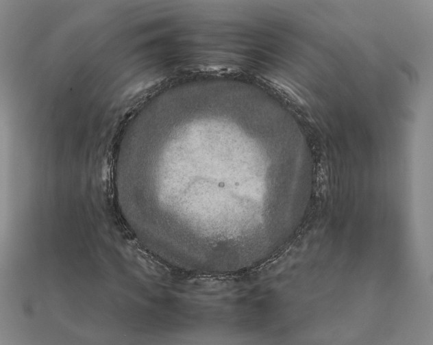 X0000111900917200908101137