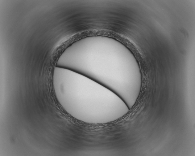 X0000111900919200908101137