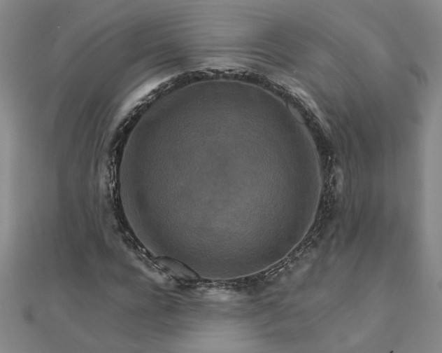 X0000111900920200908101137