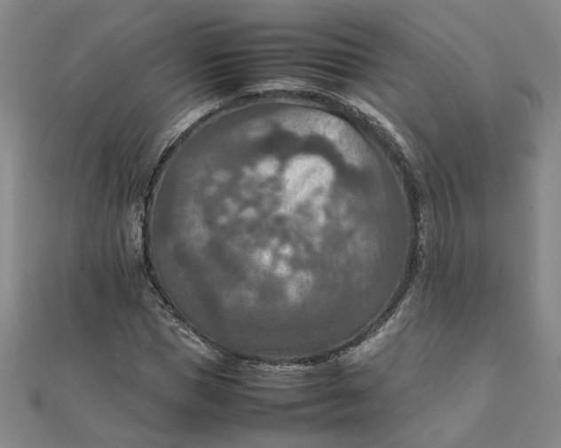 X0000111900921200908101137