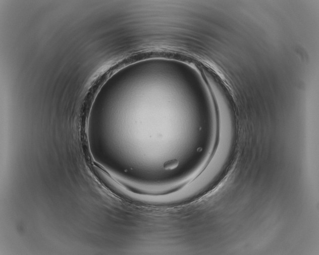 X0000111900922200908101137