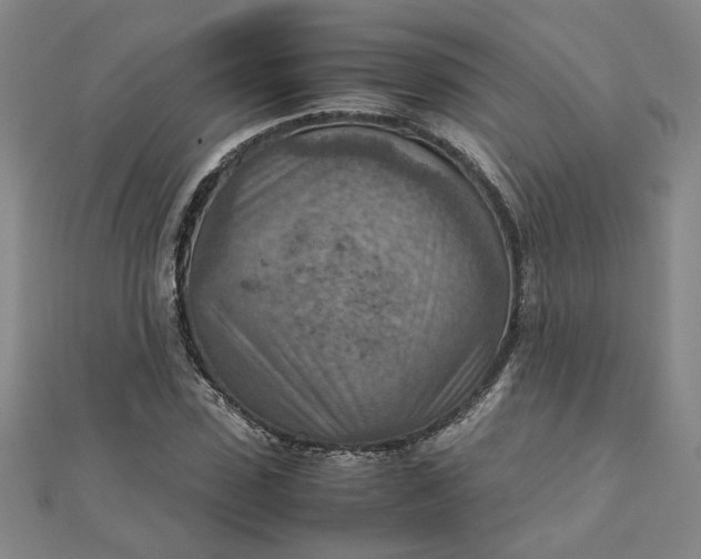 X0000111900923200908101137