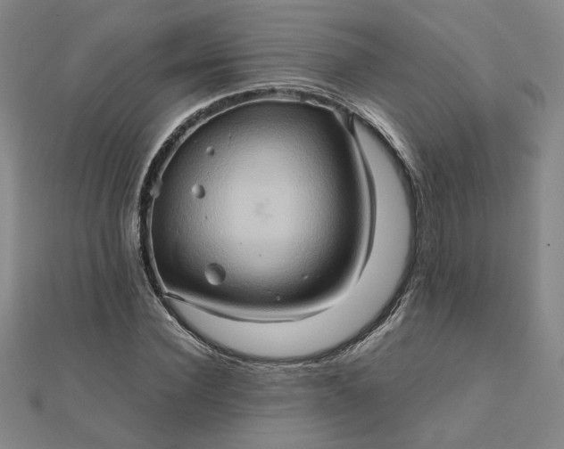 X0000111900924200908101137