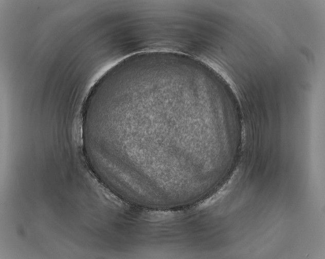 X0000111900925200908101137