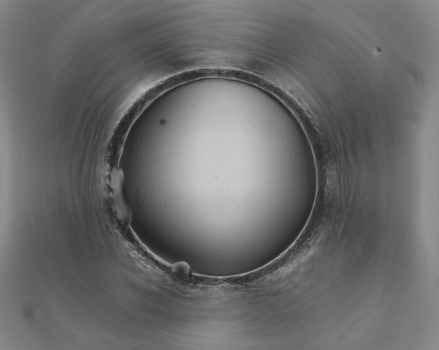 X0000111900926200908101137