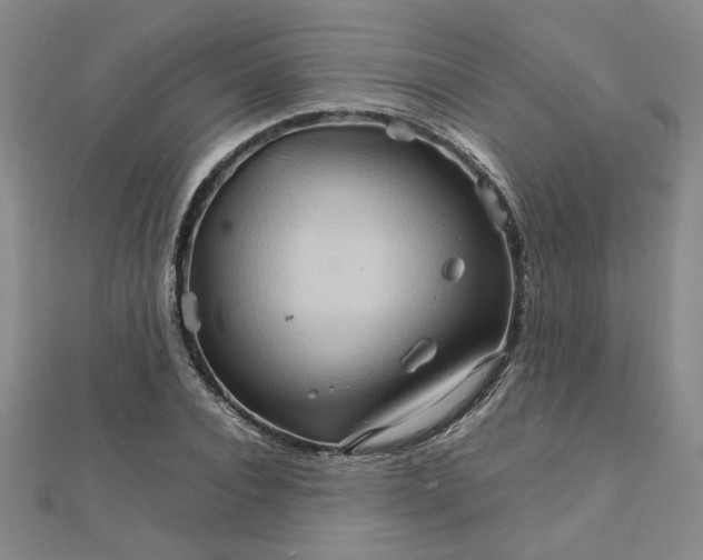 X0000111900928200908101137