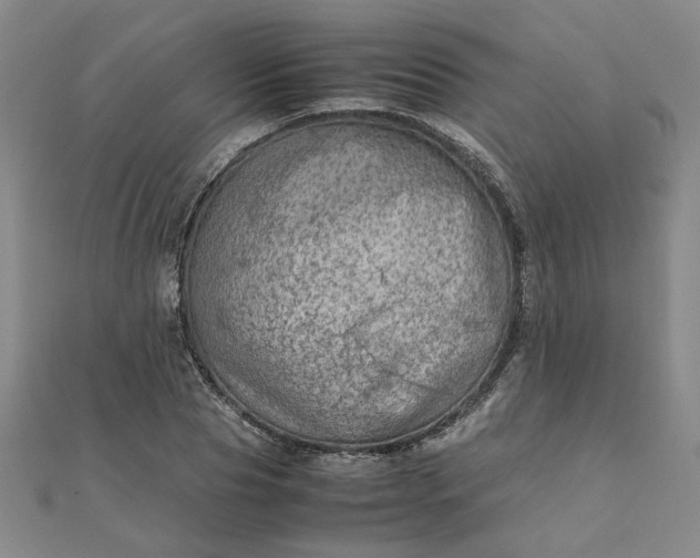 X0000111900929200908101137